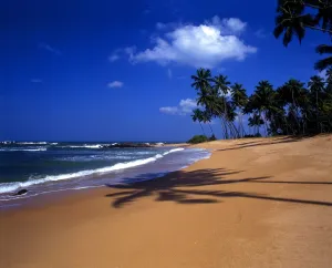 Sri Lanka Weligama Beach Weligama is a famous beach resort in the south of Sri Lanka