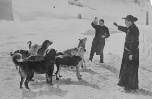 St Bernard Monks snowed up. The monks of St Bernard are isolated in their Hospice