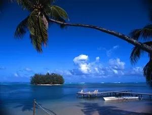 Paradise Collection: Staging post, palm tree and islet, on the island of Morea (off Tahiti)