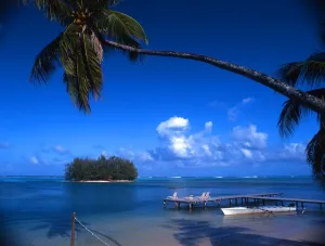 Paradise Prints: Staging post, palm tree and islet, on the island of Morea (off Tahiti)