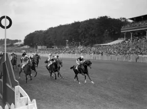 Horses Prints: Starflyer ( right ) winning the Charlton Welter Handicap at Goodwood Racecourse