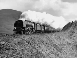 Steam Train
