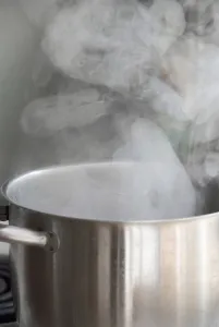Kitchen Prints: Steam from water boiling in stainless steel saucepan on hob credit: Marie-Louise