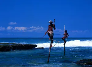 Natural Beauty Prints: Stilt Fishermen on Welligama Beach Sri Lanka