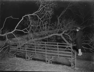 Debris Prints: Storm damage in Sidcup, Kent. 1939