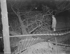 Storm damage in Sidcup, Kent. A tree has been uprooted. 1939 Storm damage in Sidcup, Kent. A tree has been uprooted. 1939