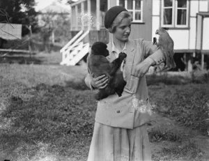 Strange Pals A parrot and a monkey are inseparable pals, pets belonging Miss Doris Edwards