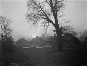 Houses Prints: The sunset caught over the Eltham Suburban landscape. 1937
