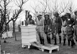 Swanley Horticultural College. Swanley students at demonstration. 1930 s