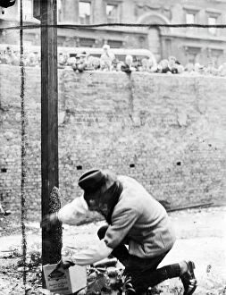 1940s Collection: A swarm of bees which settled at the foot of a pole on a bomb site in Victoria Street
