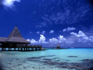 T31. Polynesia. Rangiroa