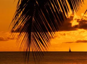 Evening Prints: T4. 01 West Indies. Antigua. Sunset with palms and boat