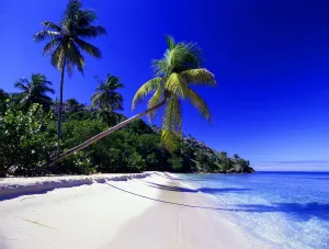 Caribbean Prints: T4. 02 West Indies. Antigua. Galley Bay