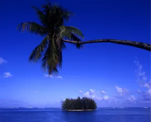 Palm Tree Prints: T4. 024. Tahiti Group. Morea. Small island off Morea