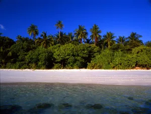 T4. 035 Maldives. Little Bandos