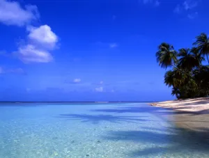 Paradise Prints: T4. 037. West Indies. Tobego
