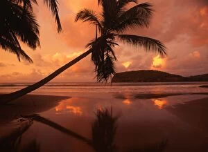 Tropics Collection: T4. 039. West Indies. Grenada. La Sagesse beach