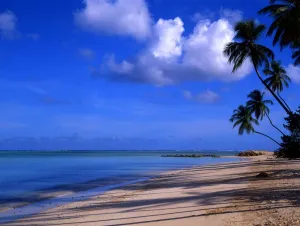 Paradise Prints: T4. 039. West Indies. Tobego. Beach scene with girl on beach. [An alternative, T4