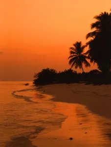 Paradise Prints: T4. 04. Laccadives [Lakshadweep] Islands. Bangaram