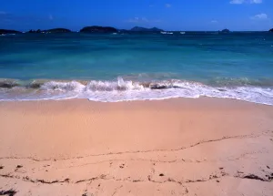T4. 043. West Indies. Mustique