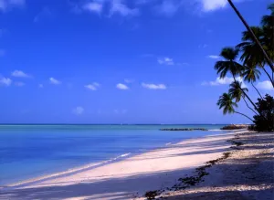 Caribbean Prints: T4. 043. West Indies. Tobego