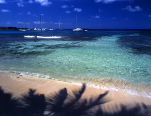 T4. 045 West Indies. Mustique