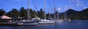 T4. 045. West Indies. St. Lucia [Panoramic shot]