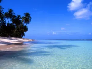T4. 045. West Indies. Tobego