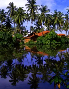 Reflections Prints: T4. 07 Sri Lanka. Nogombo