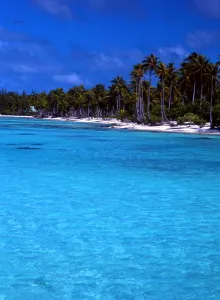 French Polynesia Prints: T4. 116. Polynesia. Rangiroa