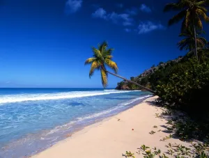 Paradise Prints: T4. 12 West Indies. Antigua. Galley Bay