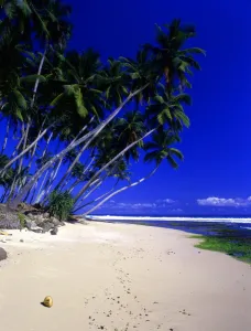 T4. 17 Sri Lanka. Welligama beach