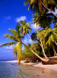 T4. 20 Maldives. Little Bandos island