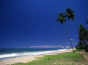 Paradise Prints: T4. 44. Sri Lanka, Beach to the north of Galle