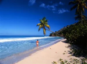 Paradise Prints: T4. West Indies. Antigua. Girl on beach