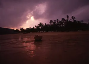 T4. X10. Australia. Brampton Island, Great Barrier Reef
