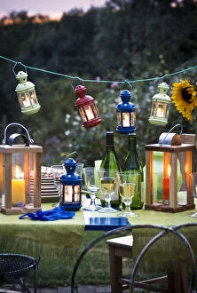 Green Collection: Table laid for a party outside on a summer evening, glasses of white wine with wine