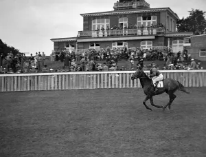 Horses Prints: Tahir at Goodwood Racecourse, Sussex, England. 1937