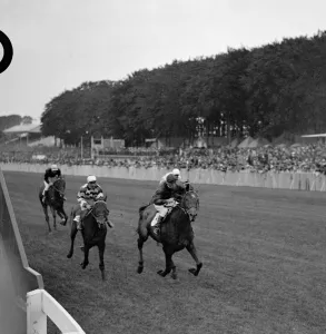 Horses Prints: Tahir winning the Ham Produce Stakes from Halcyon Gift ( left )