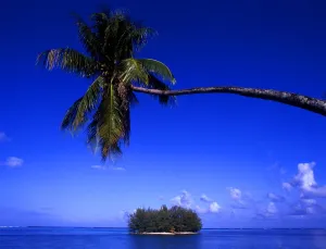 Island Prints: Tahiti Group of Islands - Morea