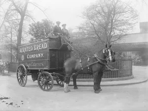 Catering Prints: Taken for the Aerated Bread Company. 31 March 1920