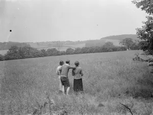 Taking in the view from a field on Farthing Street in Farnborough, Kent, which