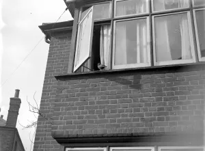 Tamed jackdaw (Sidcup) 1934