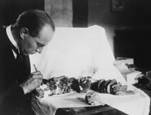 Academic Prints: The teeth of a 10, 000 year old mammoth. Professor R A Sart, the discoverer of