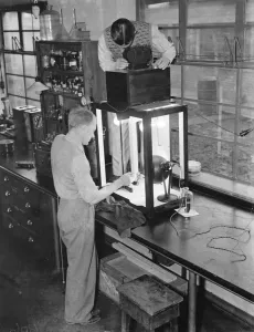 Testing a Handimac ultraviolet ray light for killing bugs at the East Malling Research