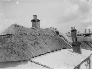 Thatched Prints: Thatching Perry Street cottages. 1935