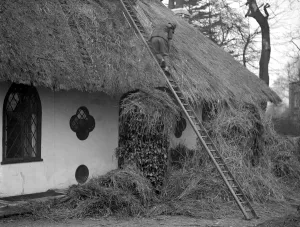 Home Prints: Thatching the roof of the Hermitage headquarters of the Selboorne Society at Hanwell