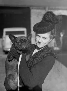 Fashionista Prints: The Show of the Keeshon club and French Bulldog club is taking place at Tattershall