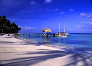 Natural Beauty Prints: Tobago West Indies. Pigeon Point