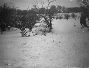 Slide Prints: Tobogganing on Eynsford Hills in Eynsford, Kent. 1938